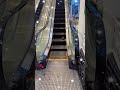 #日本 #鳩 さんエスカレーターで降りてくる😅足巻き込まれなくてよかった🙏😌