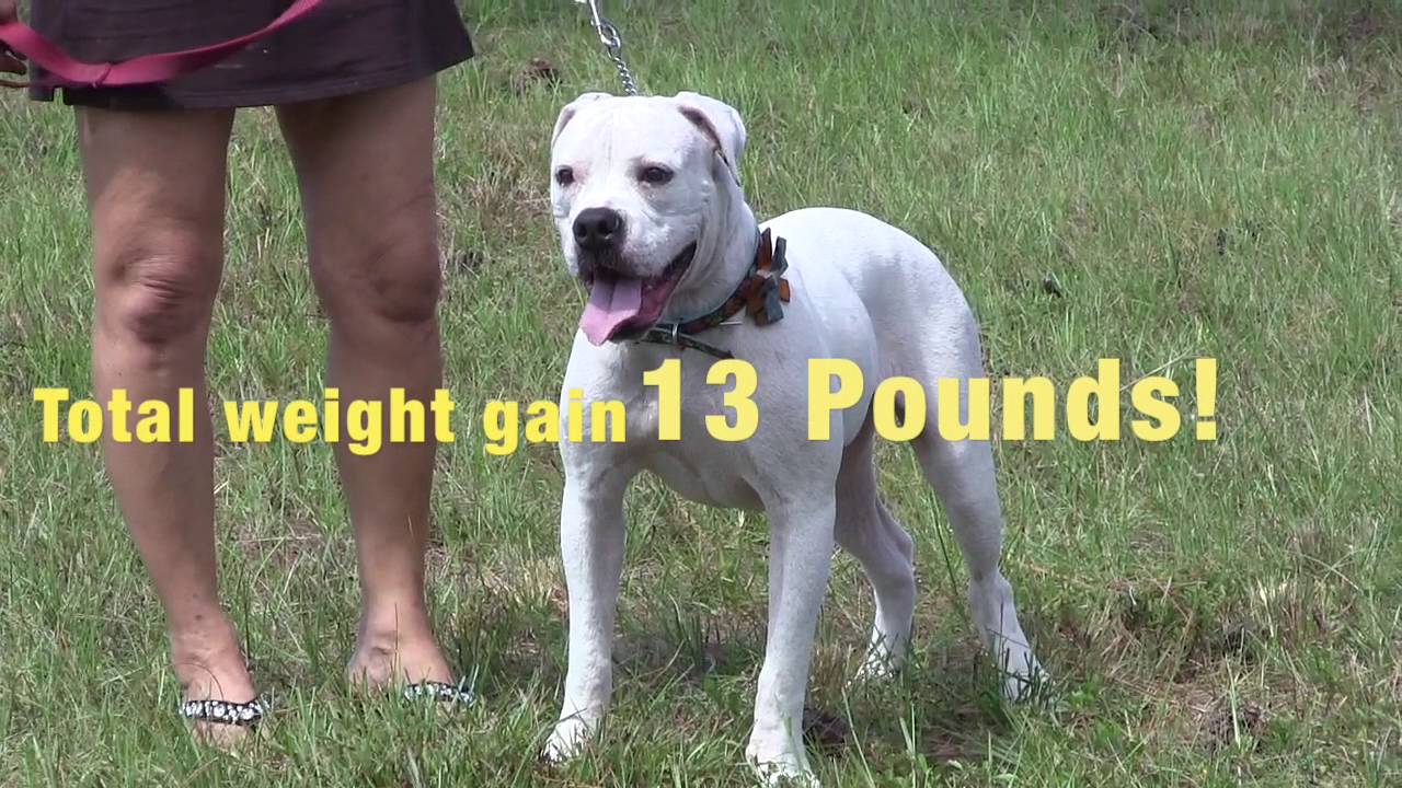 dezzy's second chance