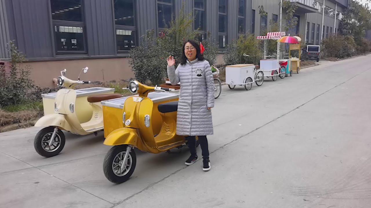 Update World newest design Electric mobile gelato food bike ice cream cart low invest big return