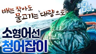 두명만 타도 좁은 쪽배에서 많이도 잡는 소형어선 어부들 / 일본에서는 고급 생선 한국에서는 골칫거리 너무 잡혀서 곤란한 청어잡이 / #바다다큐