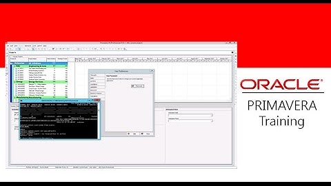 How to use SQLite editor on a Primavera P6 standalone database