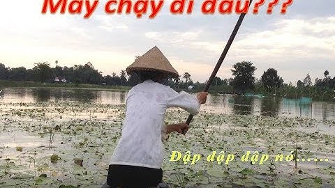 Độc đáo giăng lưới đập (lưới đuổi) bắt cá mùa nước nổi ở Miền Tây | catch fish | Duy Lợi Vlog