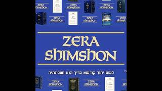 Download Lagu Zera Shimshon Weekly Class Parshat Ki Sisa By Mordecai Holtz!