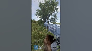 Rust roof campers must be handled swiftly