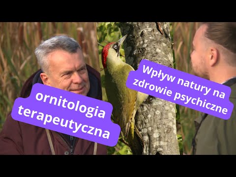 Natura a zdrowie psychiczne. Ornitologia Terapeutyczna. Co to takiego?