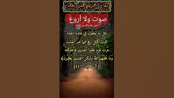 صوت يأخذك لعلم آخر ويصبك بالقشعريرىة القارئ || حذيفة محمد العطار وليس إسلام صبحى #الشيخة#القارئ