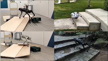 MorAL: Learning Morphologically Adaptive Locomotion  Controllerfor Quadruped on Challenging Terrain