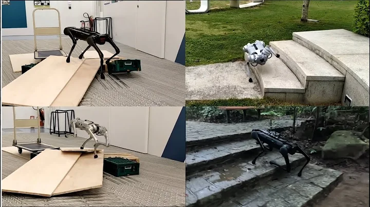 MorAL: Learning Morphologically Adaptive Locomotion  Controllerfor Quadruped on Challenging Terrain