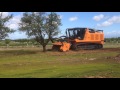 Prime Tech PT-600 - Almond Tree Removal IMG 1306