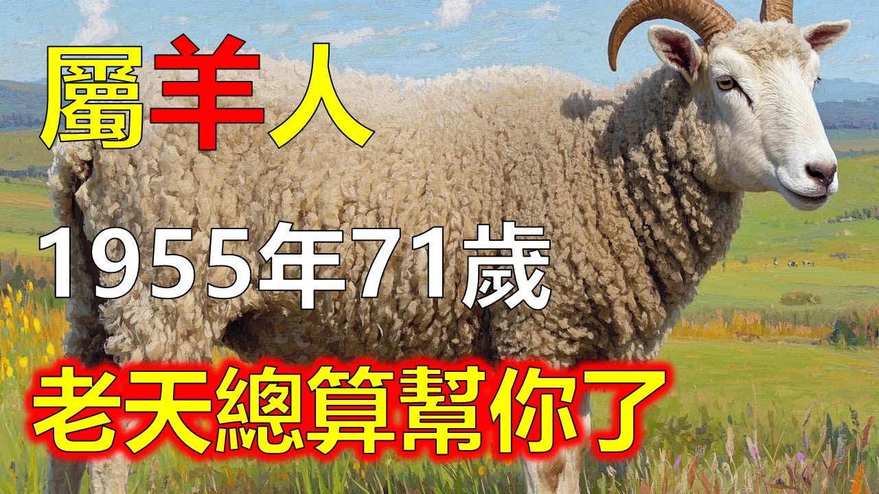 命理師眼中的乙未羊：苦過、懂得、最後安然，屬羊人早年多波折，中年才漸入佳境。命帶「恩星」與「劫星」，代表歷練越多越能成長。他們懂得感恩，也懂珍惜。到了七十歲後