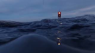 A Short Floating Buoy made by me | Tutorial from @BlenderMadeEasy  🤩