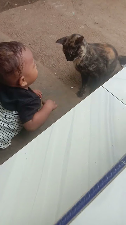 kucing nya di tawarin makan ama ecrim gaeesss