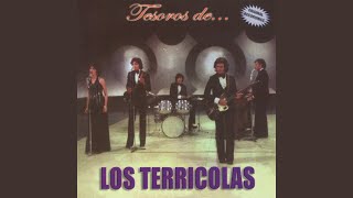 Video thumbnail of "Los Terricolas - Sentiras"
