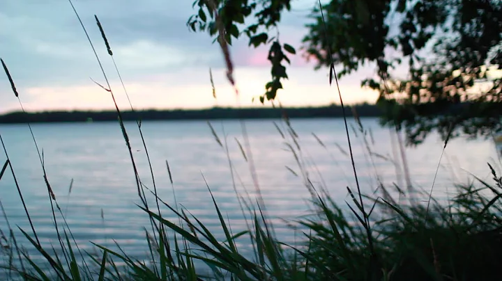 "The Ink From Books" - Sleeping At Last (Micro Mus...