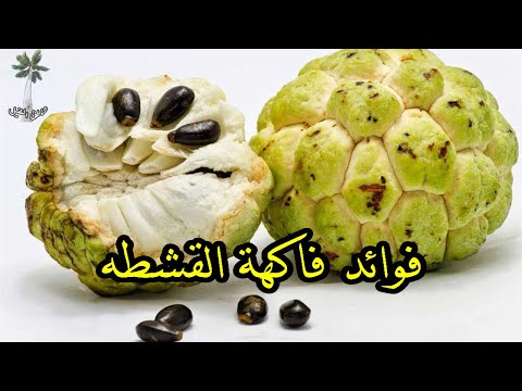فوائد فاكهة القشطه       