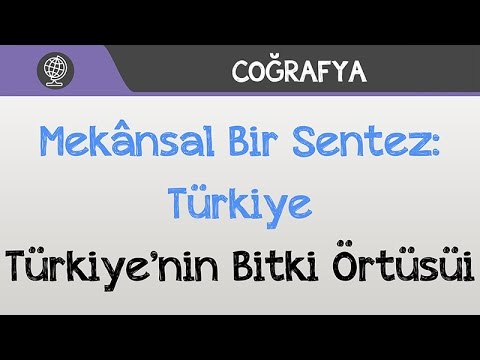 Mekânsal Bir Sentez: Türkiye - Türkiye’nin Bitki Örtüsü