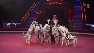 «Дрессированные собаки и лошади «Жокеи», Т. Мащенко (верcия с фестиваля в Цирке Никулина)