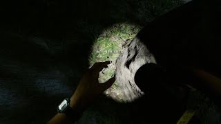 Stranded Deep. Hunting Bats in Another Tree at Night #4.