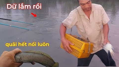 Nước Cạn Khô Ruộng Cá Xuống Đường Mương Trú Ẩn Khủng Khiếp Cá|kích cá miền tây