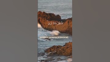 تلاوة عطرة تريح القلب للقارئ ريان المحيسني.        #اكتب_شي_تؤجر_عليه