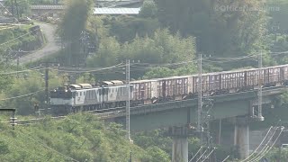中央西線 大桑~須原 EF64、383系【2011年】