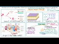 Cell bio.| Plasma membrane part 1 | BSC 2nd sem. | Plasma membrane model | composition of membrane |