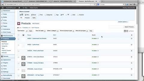 WordPress Screen Options