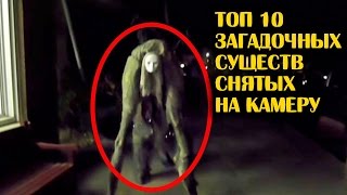 ТОП 10 ЗАГАДОЧНЫХ СУЩЕСТВ СНЯТЫХ НА ВИДЕО