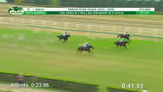 Vidéo de la course PMU PRIX PURA MAGIA 2014 / 2015