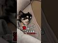 あまりにしつこいので訴えます。 #チワワ #犬 #chihuahua #犬のいる生活 #多頭飼い#起きない犬