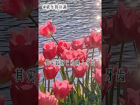 快乐的扑满伴奏 原唱:邵丽常