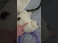 he sleeping