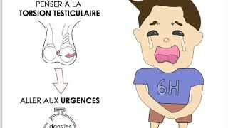 Torsion Testiculaire