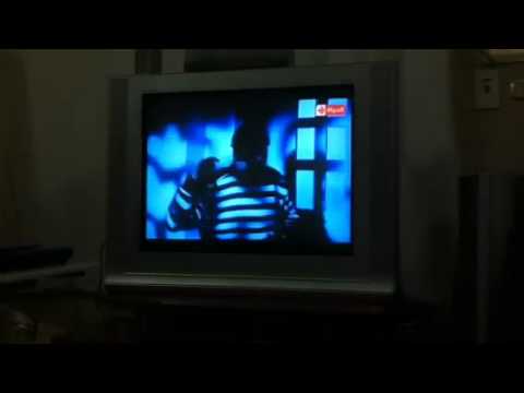 شنقر بنقر نو