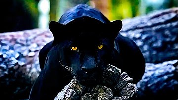 THIS WAS B4 YOU-TUBE 2019. Speaking to an audience of None.  The growth is Evident!