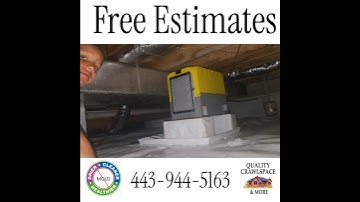 Efficiency #crawlspaceencapsulation #viralvideo #basementwaterproofing #viralshort