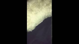 My bed cam