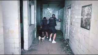 Treinamento Para Cão Policial.batalhão Do Biesp Caruaru-Pe .