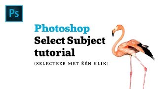 Afbeelding vrijstaand maken in Photoshop CC 2018 met één klik!