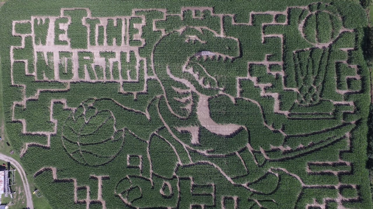 Toronto Raptors Corn Maze YouTube
