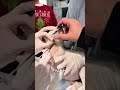 He Noticed Something Strange About His Dog 