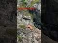 #nsgcommando #army #