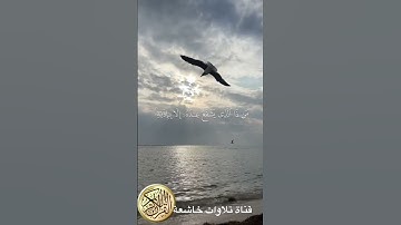 الشيخ ريان المحيسني#آية_الكرسي #القرآن_الكريم #تلاوة_خاشعة #تلاوات_العرب