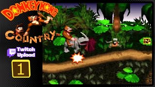 Starting Donkey Kong Country w/ aly_cat688