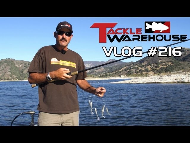 Fishing Umbrella Rigs (A-Rigs) in The Fall - Tackle Warehouse VLOG #216 