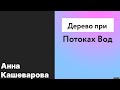 &quot;Дерево при потоках вод&quot; Анна Кашеварова 12.09.2021