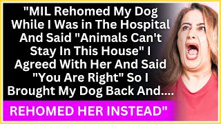 MIL Rehomed My Dog While I Was in The Hospital And Said 