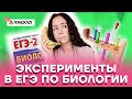 Эксперименты в ЕГЭ по биологии | Биология ЕГЭ 2022 | Умскул