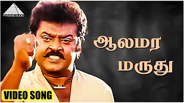 ஆலமர மருது HD Video Song | பெரிய மருது | விஜயகாந்த் | ரஞ்சிதா | இளையராஜா