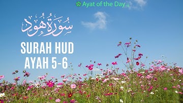 Surah Hud (11: Hud) -  Ayat: 5-6 | Mahmood Al-Tabib | سورة  هود‎ | محمود الطبيب